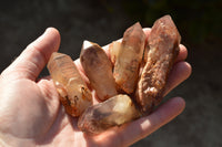 Natural Red Hematoid Phantom Quartz Crystals  x 35 From Karoi, Zimbabwe - TopRock