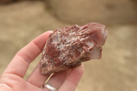 Natural Medium Sized Red Hematoid Phantom Quartz Crystals  x 8 From Karoi, Zimbabwe - TopRock