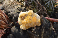 Natural Golden Limonite / Lemonite Quartz Clusters  x 12 From Solwezi, Zambia - TopRock