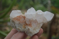 Natural White Spirit Cactus Quartz Clusters  x 6 From Boekenhouthoek, South Africa - Toprock Gemstones and Minerals 