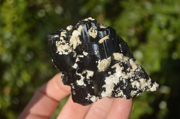 Natural Schorl Black Tourmaline Specimens x 6 From Erongo, Namibia