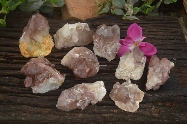 Natural Red Hematoid Quartz Specimens x 12 From Karoi, Zimbabwe - TopRock