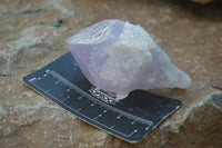 Natural Jacaranda Amethyst Single Crystal Specimens x 12 From Mumbwe, Zambia