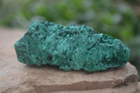 Natural Chatoyant Silky Malachite Specimens  x 12 From Kasompe, Congo - Toprock Gemstones and Minerals 