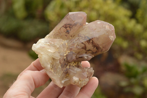 Natural Red Hematoid Phantom Quartz Crystals  x 4 From Karoi, Zimbabwe - TopRock