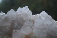 Natural White Spirit Cactus Quartz Clusters  x 2 From Boekenhouthoek, South Africa - Toprock Gemstones and Minerals 