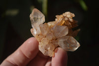 Natural Clear Amethyst & Smokey Brandberg Quartz Crystals x 12 From Brandberg, Namibia