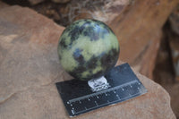 Polished Leopard Stone Eggs & Spheres  x 4 From Zimbabwe - TopRock