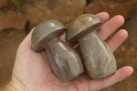 Polished Polychrome / Picasso Jasper Mushrooms  x 6 From Madagascar - TopRock