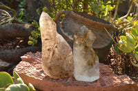 Polished Gorgeous Pair Of Smokey Window Sceptre Quartz Crystals x 2 From Ankazobe, Madagascar - TopRock