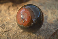 Polished  Polychrome / Picasso Jasper Spheres  x 3 From Madagascar