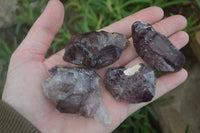 Natural Large Smokey Amethyst / Window Amethyst Crystals  x 12 From Chiredzi, Zimbabwe - Toprock Gemstones and Minerals 