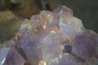 Natural Jacaranda Amethyst Cluster x 1 From Mumbwa, Zambia - TopRock