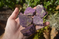 Natural Selected Purpurite Cobbed Specimens  x 14 From Namibia - TopRock