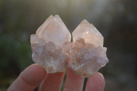 Natural Small Mixed Spirit Quartz Crystals & Clusters  x 35 From Boekenhouthoek, South Africa - Toprock Gemstones and Minerals 