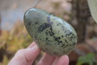 Polished Leopard Stone Free Forms  x 6 From Zimbabwe