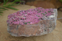 Natural XXL Pink Salrose Cobaltion Dolomite Specimen  x 1 From Kakanda, Congo - Toprock Gemstones and Minerals 