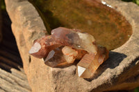 Natural Red Hematoid Phantom Quartz Crystals  x 35 From Karoi, Zimbabwe - TopRock