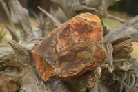 Natural Rough Nguni Jasper Cobbed Specimens  x 3 From Northern Cape, South Africa - TopRock