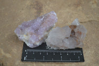 Natural Small Mixed Spirit Quartz Clusters  x 24 From Boekenhouthoek, South Africa - Toprock Gemstones and Minerals 