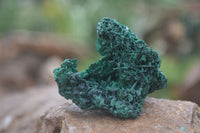 Natural Chatoyant Silky Malachite Specimens  x 12 From Kasompe, Congo - Toprock Gemstones and Minerals 