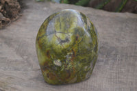 Polished Green Opal Standing Free Form  x 1 From Madagascar - Toprock Gemstones and Minerals 