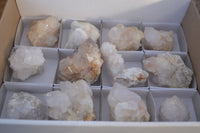 Natural White Cactus Flower Spirit Quartz Specimens x 12 From Boekenhouthoek, South Africa