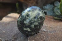 Polished Leopard Stone Eggs & Spheres  x 4 From Zimbabwe - TopRock