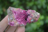 Natural Salrose Cobaltion Dolomite Specimens x 12 From Kakanda, Congo