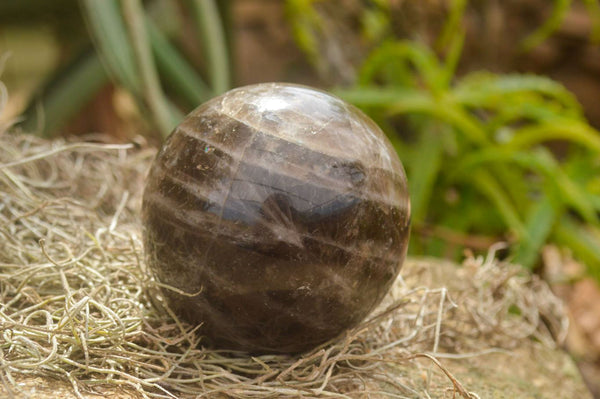 Polished Morion Smokey Quartz Spheres x 3 From Madagascar - TopRock