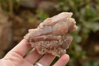 Natural Medium Sized Red Hematoid Phantom Quartz Crystals  x 8 From Karoi, Zimbabwe - TopRock