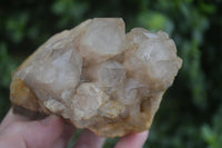 Natural Cascading White Phantom Smokey Quartz Clusters  x 3 From Luena, Congo - Toprock Gemstones and Minerals 