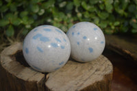 Polished Blue Spotted Spinel Quartz Spheres x 6 From Madagascar