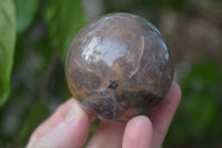 Polished  Chatoyant Black Moonstone Spheres  x 6 From Madagascar