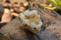 Natural Golden Limonite / Lemonite Quartz Clusters  x 12 From Solwezi, Zambia - TopRock