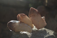 Natural Red Hematoid Quartz Specimens x 12 From Karoi, Zimbabwe