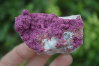 Natural Salrose Cobaltion Dolomite Specimens x 12 From Kakanda, Congo