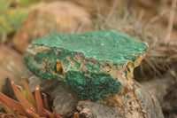 Natural Crystalline Malachite Specimens  x 4 From Tenke Fungurume, Congo - TopRock