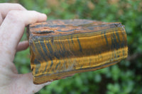 Natural Golden Blue Tigers Eye Specimens  x 2 From Prieska, South Africa - TopRock