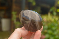 Polished Large Morion Smokey Quartz Eggs x 5 From Madagascar - TopRock