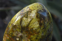 Polished Green Opal Standing Free Forms  x 2 From Antsirabe, Madagascar - Toprock Gemstones and Minerals 