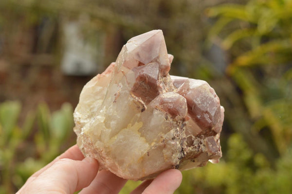 Natural Red Hematoid Quartz Clusters  x 6 From Karoi, Zimbabwe - TopRock