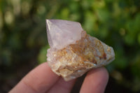 Natural Small Mixed Spirit Quartz Crystals & Clusters  x 35 From Boekenhouthoek, South Africa - Toprock Gemstones and Minerals 