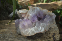 Natural Jacaranda Amethyst Cluster x 1 From Mumbwa, Zambia - TopRock