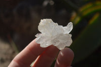 Natural Clear Amethyst & Smokey Brandberg Quartz Crystals x 12 From Brandberg, Namibia