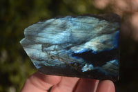 Polished One Side Polished Labradorite Slices  x 12 From Madagascar