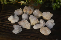 Natural White Cactus Flower Spirit Quartz Specimens x 12 From Boekenhouthoek, South Africa