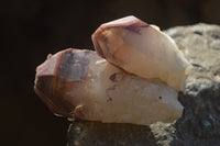 Natural Red Hematoid Quartz Specimens x 12 From Karoi, Zimbabwe