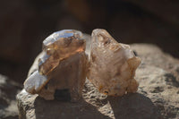 Natural Clear Amethyst & Smokey Brandberg Quartz Crystals x 12 From Brandberg, Namibia