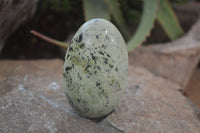 Polished Leopard Stone Free Forms  x 6 From Zimbabwe